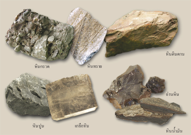เปลือกโลกและหิน